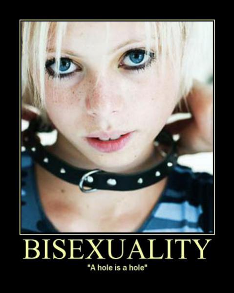 Bisexuality Meme